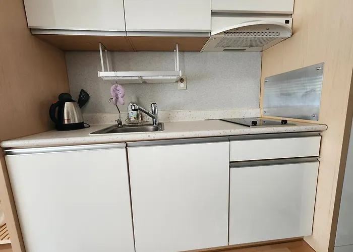 Appartement Soons House *